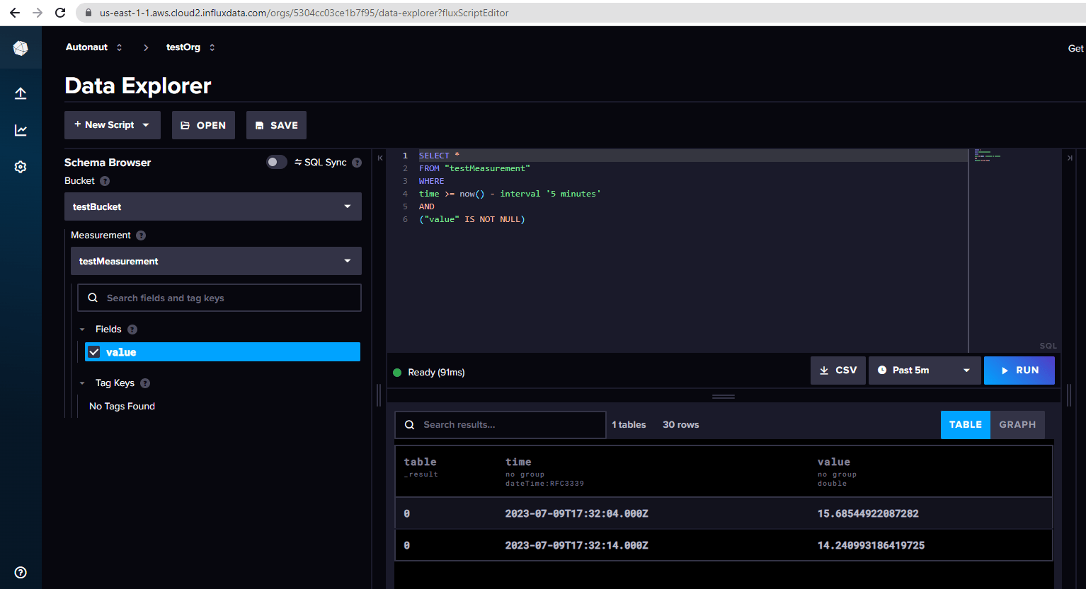 Screenshot showing the InfluxDB Explorer "Screenshot showing the InfluxDB Explorer"